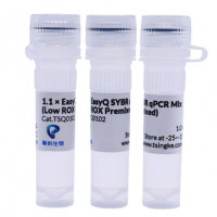 EasyQ即用型染料法qPCR预混液/擎科生物TSINGKE