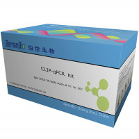CLIP-qPCR 试剂盒（CLIP-qPCR Kit，30