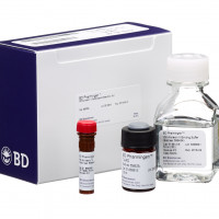 BD 559763  Annexin V PE Apopto