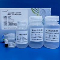 全血基因组DNA提取试剂（磁珠法）（样本量300-500ul