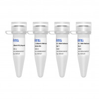 AllStart® One Step RT-qPCR SY
