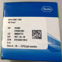 Roche-Kapa货号KK4604现货SYBR FAST上