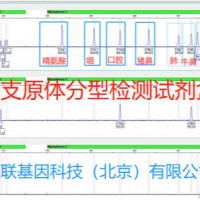 支原体分型检测试剂盒