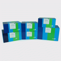 动物组织DNA抽提纯化试剂盒（Exgene Tissue S