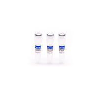 普迈MonClone™ 无缝克隆试剂盒