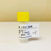 L-甲状腺素钠盐（T4）； 四碘甲状腺原氨酸；甲状腺素，T4