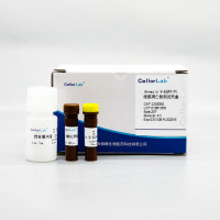 CX005S Annexin V-EGFP/PI凋亡检测试剂