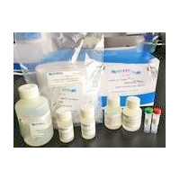 Charm-Pure™ 精纯大量唾液DNA提纯试剂盒