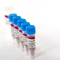 2×Taq PCR MasterMix(KT201 )