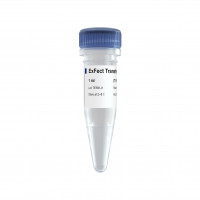 低毒性的高分子聚合物转染试剂 Exfect Transfec