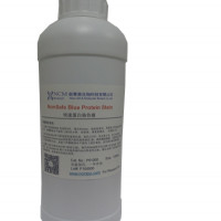 快速蛋白染色液 NcmSafe Blue Protein S