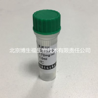 重组梅毒抗原（TP）－层析用