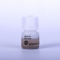 beckman贝克曼 AMPure XP_5 mL 核酸纯化