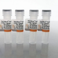 FectinMore™  Transfection Reag