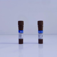 PEI线性转染试剂