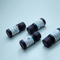 UltraBio™293F转染试剂；阿拉丁