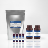KeyTec® Stable Luciferase Dete