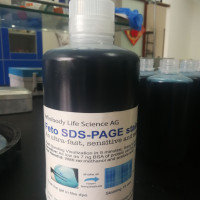 Feto SDS-PAGE染色液/Feto Protein