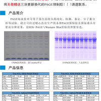 免染PAGE预制胶
