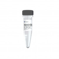 Hyperactive DNA Spike-in Contr