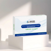 ​GMTrans 脂质体核酸转染试剂（试用装）——高效转染，