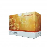 StarLighter  血液直接PCR预混液