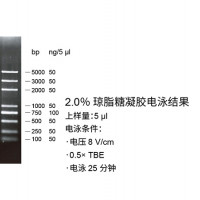 普迈MonTrack™ DNA分子量标准