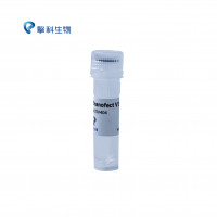 TSnanofect V1 transfection Rea