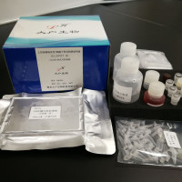 HBV特异性T细胞定量检测试剂盒（第二代）