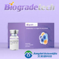 EZElisa ™ 人 Beclin 1（BECN 1）EL