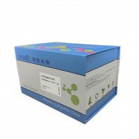 DIG原位杂交试剂盒（CISH（长链）Kit，100T）