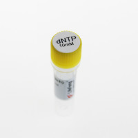 dNTPs（10mM each）