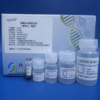 真菌DNA提取试剂（磁珠法）