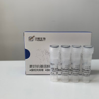 HB-infusion无缝克隆试剂盒试用装免费申领