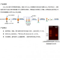 食用油中DNA提取试剂盒-小量