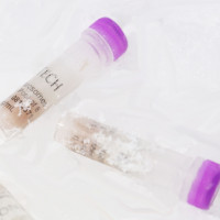 细胞胞液（体外药物代谢研究）