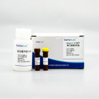 CX005L Annexin V-EGFP/PI凋亡检测试剂