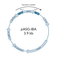 StarGate® Acceptor Vector pASG