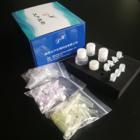 HLA-C基因分型试剂盒