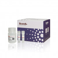 BeaverBeads® 人CD66b+细胞分选试剂盒（阳选