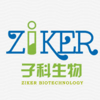 非特异结合性封闭液