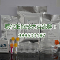 弹性蛋白酶Elastase  生物试剂/细胞培养试剂/利于细