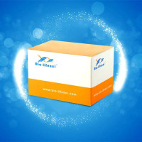 Cas12/13专用核酸检测试纸条