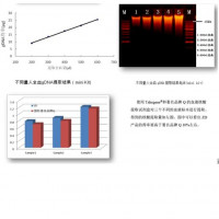 血液gDNA提取试剂盒