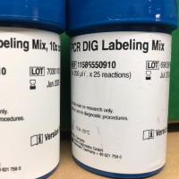 Roche货号11585550910现货PCR DIG标记混