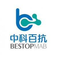 逆转录酶