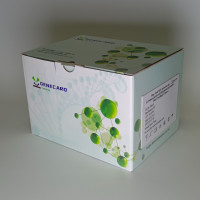 多糖多酚植物总 RNA 提取试剂盒（双离心柱）