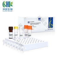 实时荧光PCR检测试剂盒(食源性致病菌检测系列) 48tes