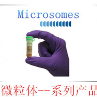 微粒体（体外药物代谢研究)