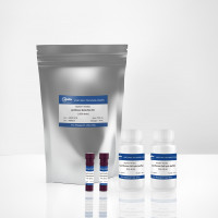 KeyTec® Renilla Luciferase Det
